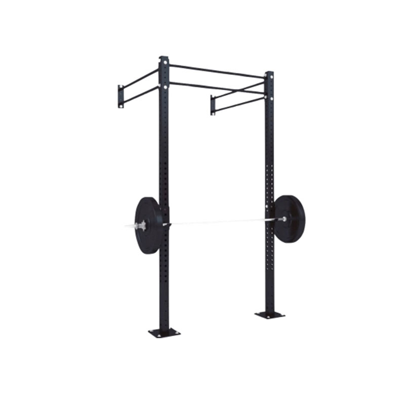 Gym Fitness Wall Mount Rig